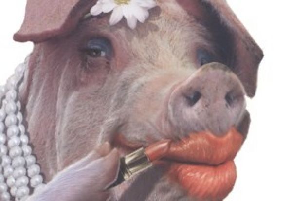 [Image: lipstick-on-a-pig.jpg]