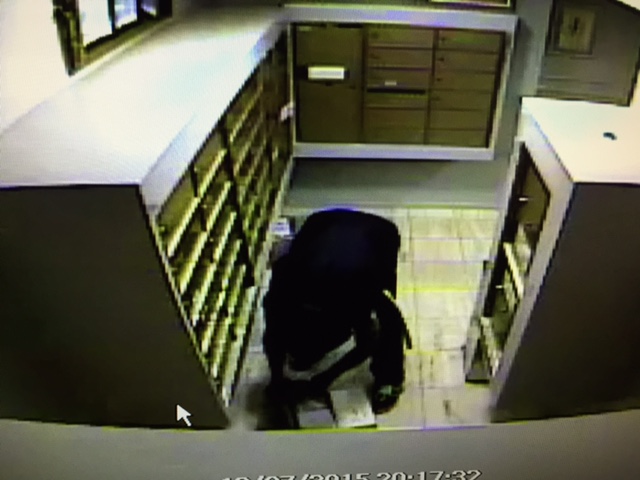 A man captured on video as he steal mail from 906 Doheny Drive on Dec. 7.