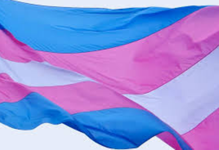 The trans pride flag was designed by Monica Helms, an openly transgender American woman, in August 1999 and exhibited at the 2000 Phoenix LGBT Pride event.